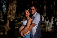 Sivelis Mom to be-4