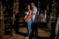 Sivelis Mom to be-3