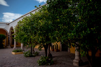 Patricia y Elias-4