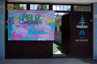 Cumpleaños Alicia-3