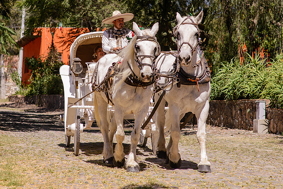 Oriana & Bob -282