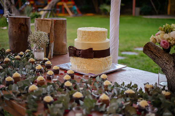 Ale y Ernesto Boda-316