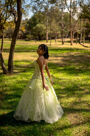 Quinces Trillizos-47