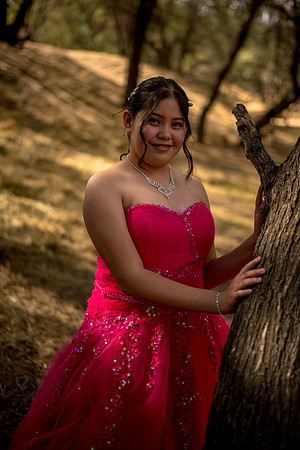 Quinces Trillizos-32