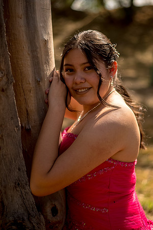 Quinces Trillizos-38