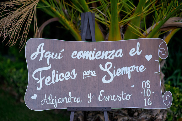 Ale y Ernesto Boda-330