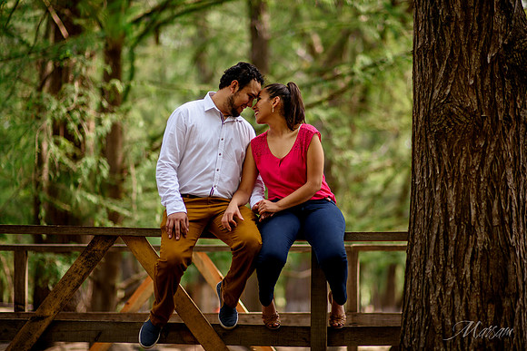 Alejandra Ernesto Media Luna-27