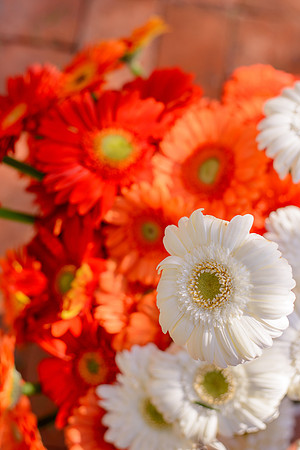Oriana & Bob -54