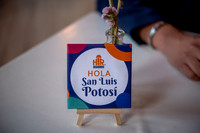 Hir San Luis Potosí-20