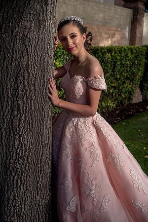 Quinces Michelle-25