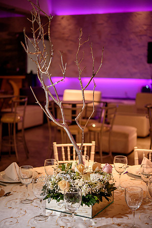 Quinces Montse Aprire-211