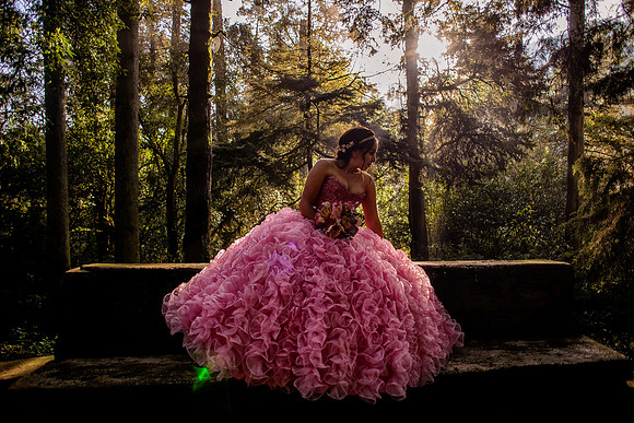 Avi Desierto de los Leones-14