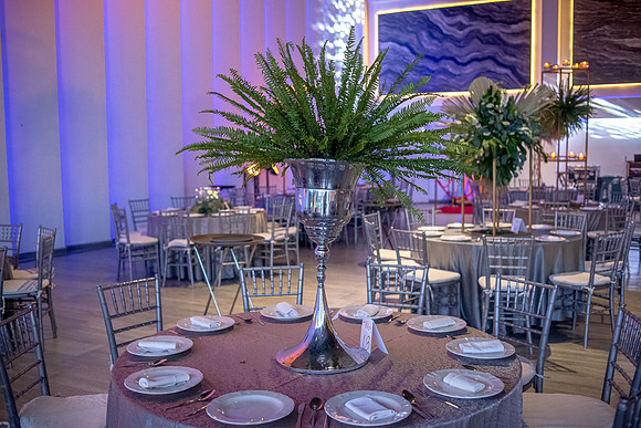 Valeria Quince años dia del Evento-173