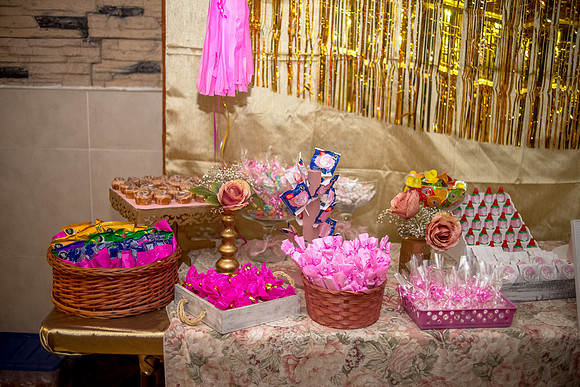 Sofi Sam Guevera Quinces-9