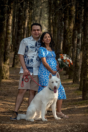 Estela Mom to be-74