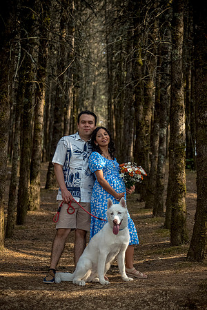 Estela Mom to be-71