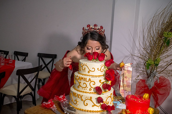 Camila XVS -181