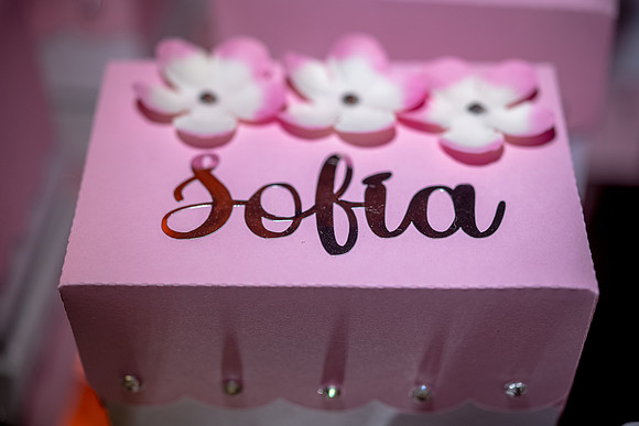 Sofi dia del Evento-91