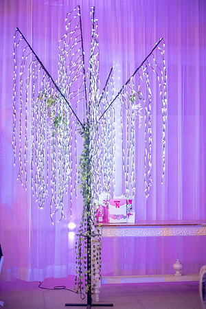 Montse Mis Quinces -84