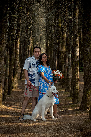 Estela Mom to be-72