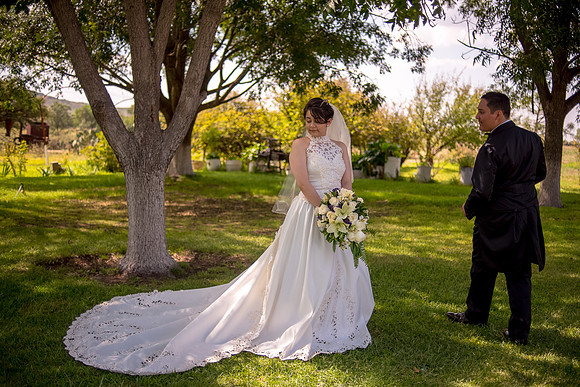 Deyanira y Miguel Boda-300