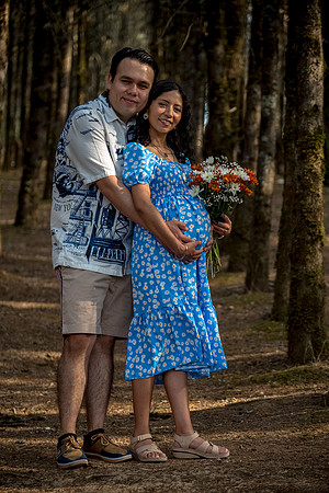 Estela Mom to be-78