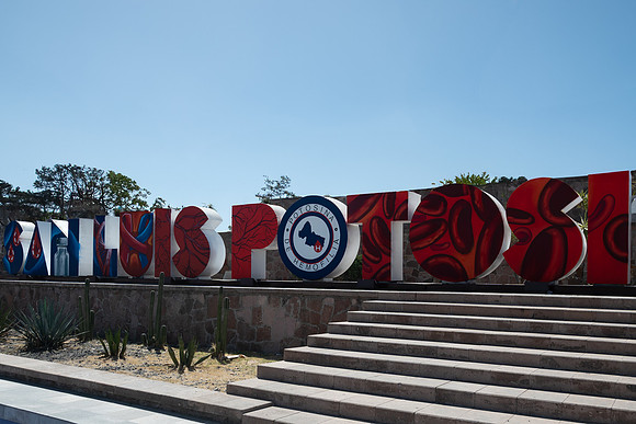 Letras SLP-1